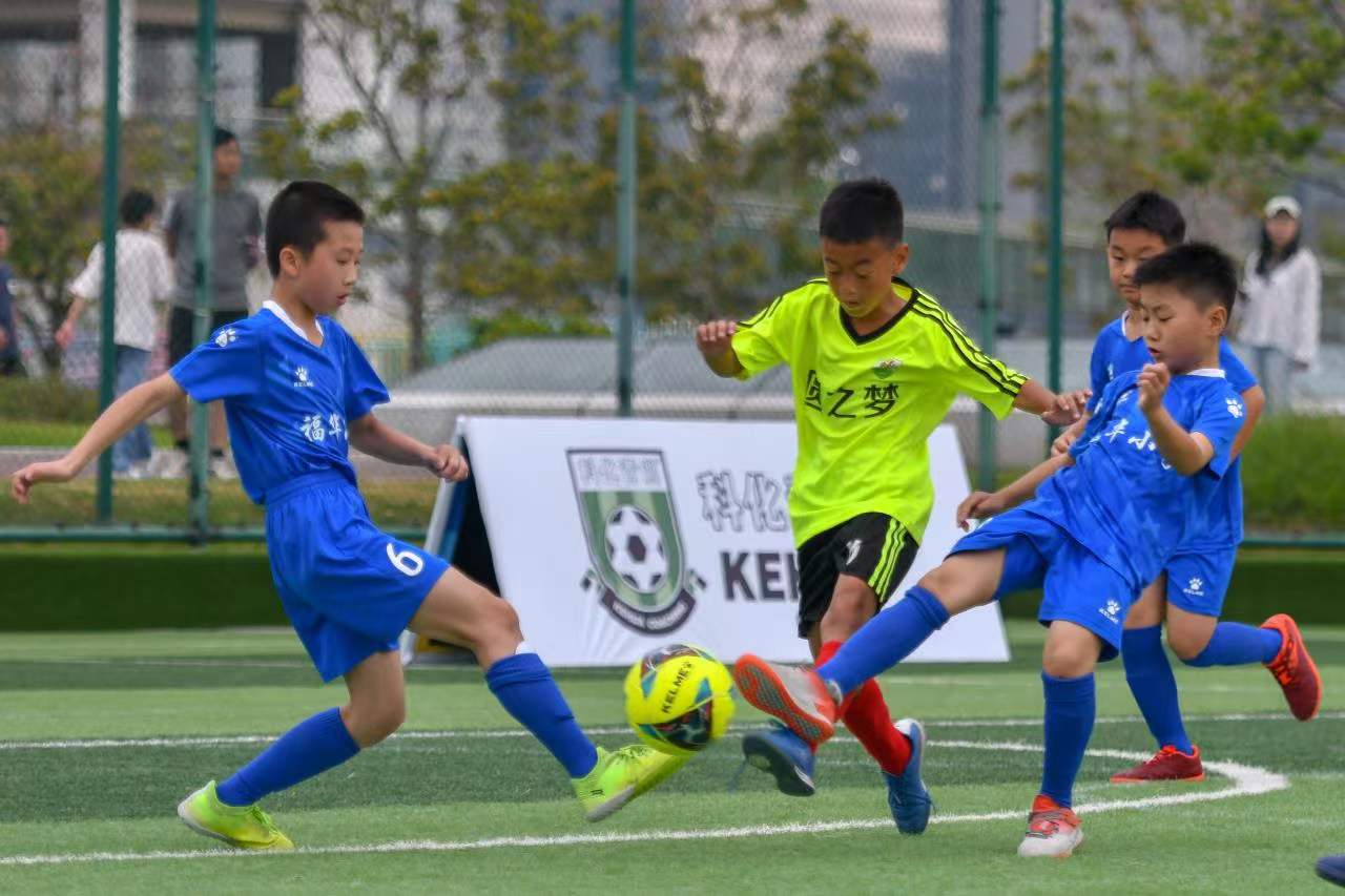 洛普的高位 洛普的高位