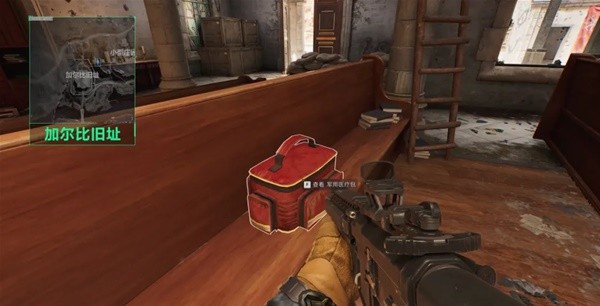 教练团队的 教练团队的